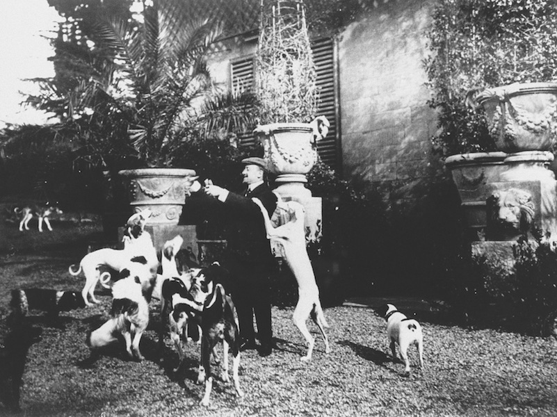 Gabriele d'Annunzio and his Dogs in the Garden of Capponcina. Photo by Photoservice Electa/UIG/Rex.