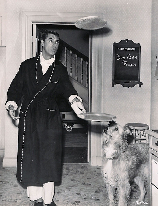 Cary Grant, Room For One More, 1952.