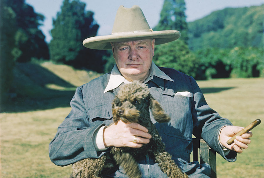 Churchill in 1950 in a Turnbull & Asser siren suit with his poodle, Rufus, at his country home of Chartwell, in Kent, where he lived for more than 40 years.