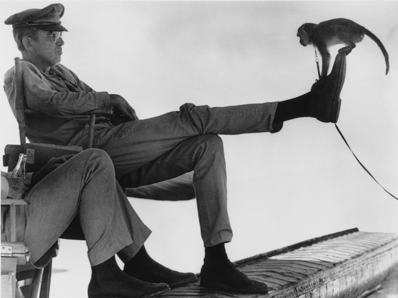 A monkey examines James Stewart's footwear on the set of The Flight of the Phoenix, 1965.