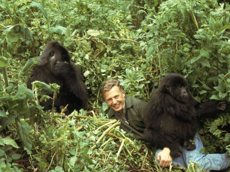 Sir David Attenborough with his friends in Rwanda, wears a Walker jacket, which is one of Grenfell's most iconic pieces.