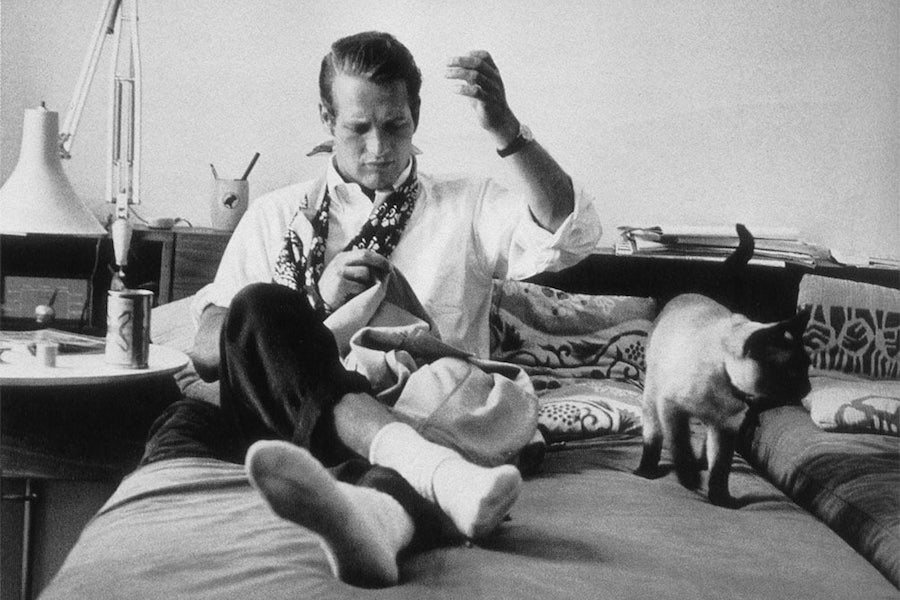 Paul Newman adorns his neck with a floral printed neck scarf while sewing his jacket and hanging out with photographer Sanford Roth’s cat Louis XIV, circa 1959.