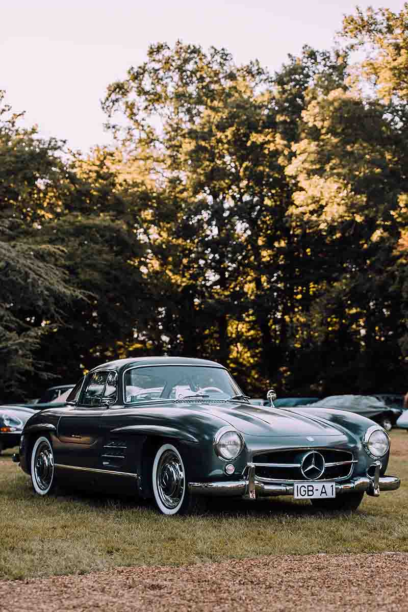 A classic Mercedes with gull-wing doors at the Concours d'Elegance