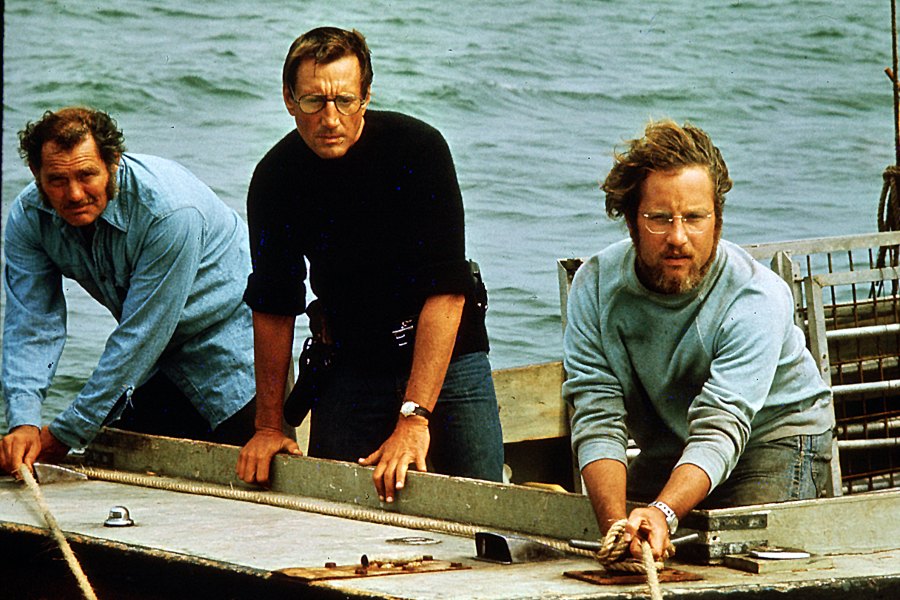 This Week We re Channelling Martin Brody in Jaws