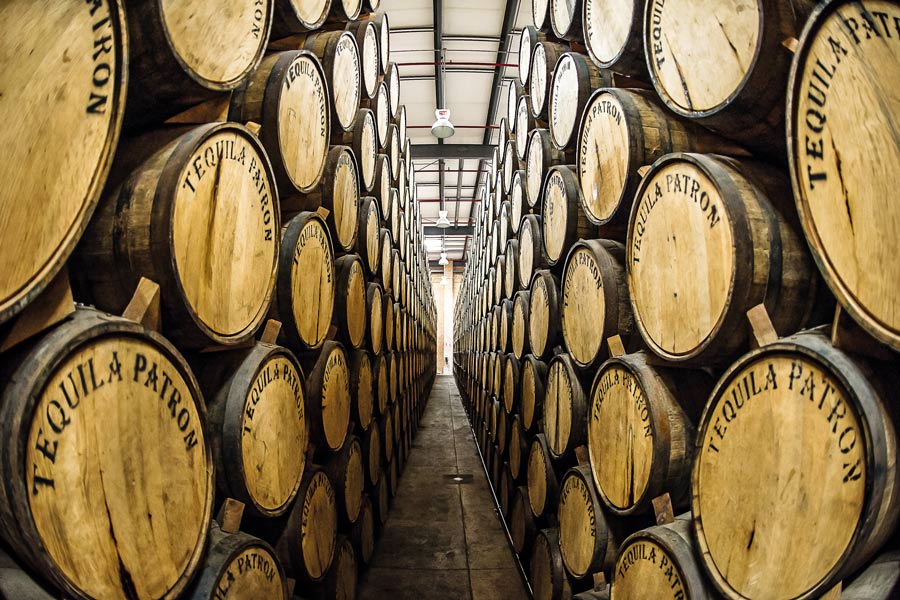 Tequila being aged in oak barrels.