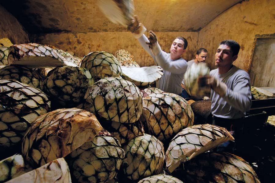 Chopped piña pieces being loaded into a furnace.