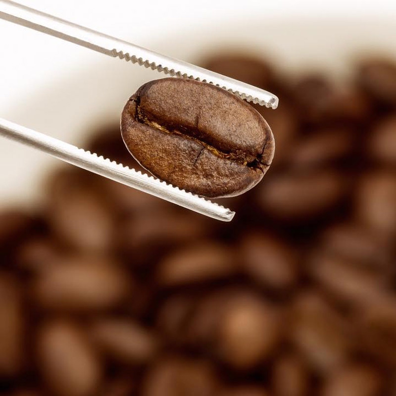 Coffee beans are best bought whole for ultimate freshness.