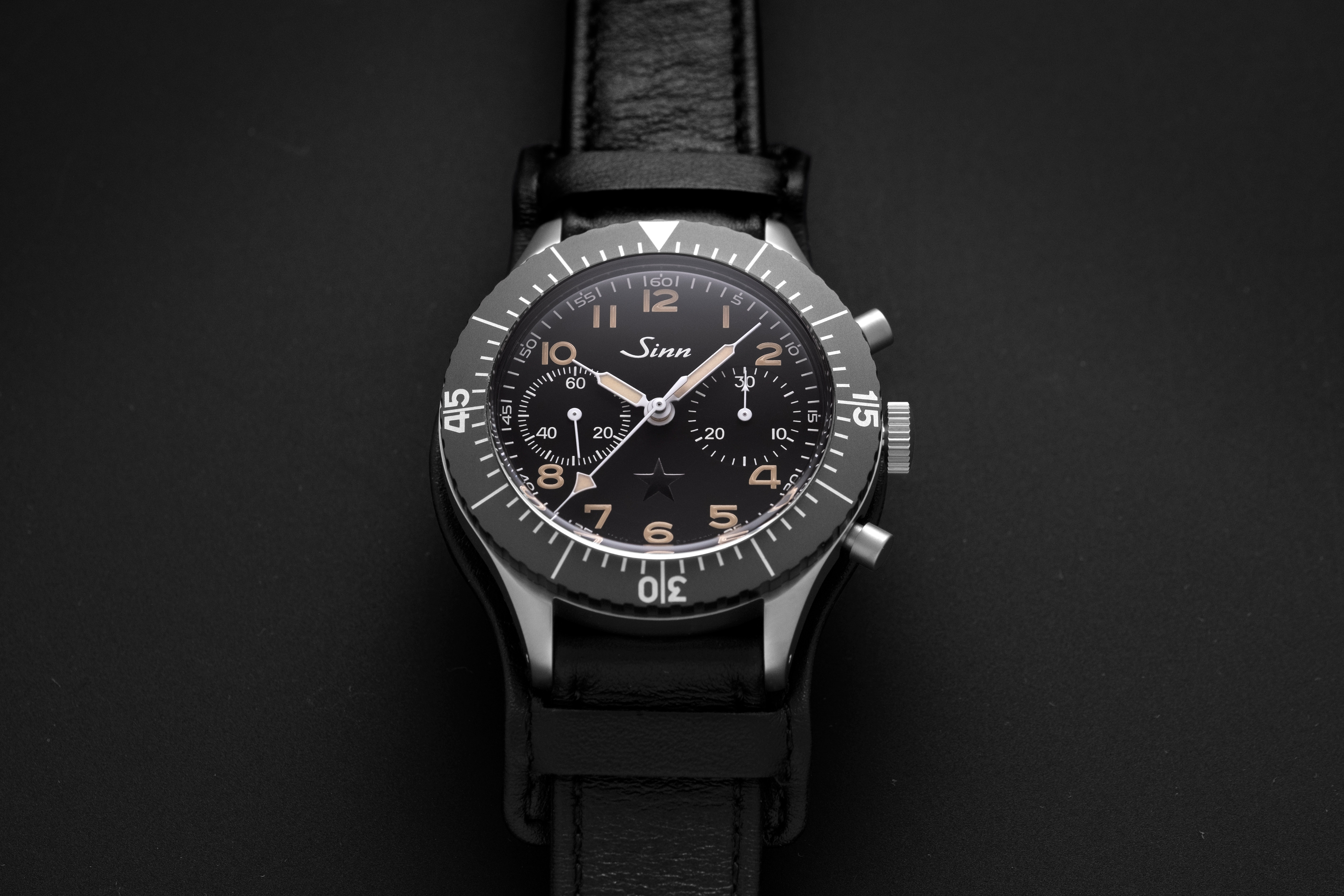 Sinn 2018 hot sale