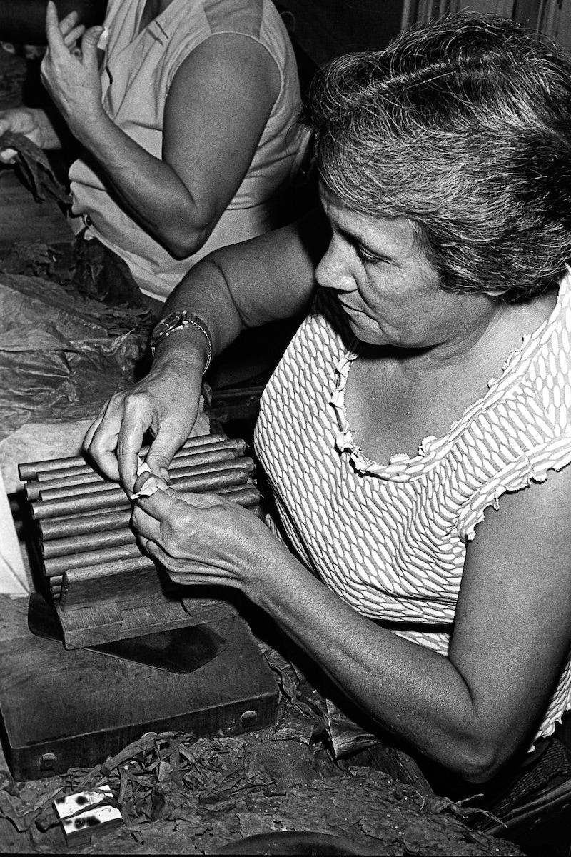 Lady skilfully rolling the cigars. (Photo courtesty of Getty Images)