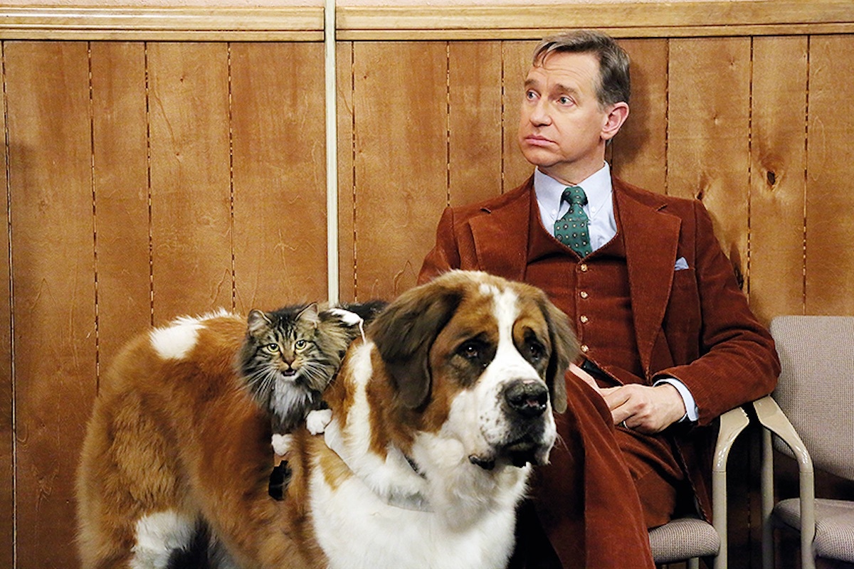 Paul, having directed several episodes of The Office, in his first appearance in front of the camera for the show in 2013. Photo by Nbc-Tv/Kobal/Shutterstock (5886251ad)