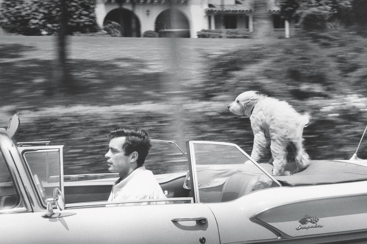 Gardner McKay, 27 speeding along in his Chevrolet convertible as his shaggy dog enjoys the ride  Photo by Allan Grant/The LIFE Picture Collection/Getty Images)