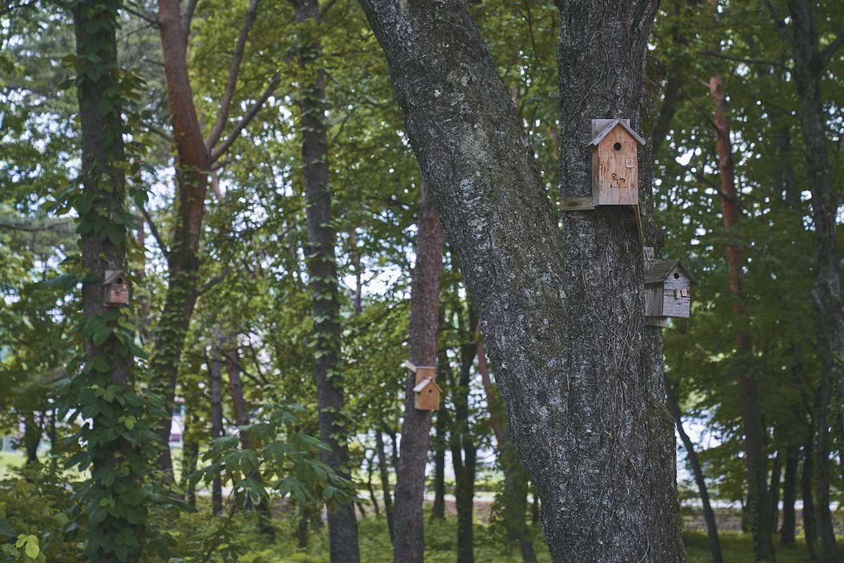 Birds and squirrel houses are installed on-site, and regular maintenance is performed to observe its habitat.