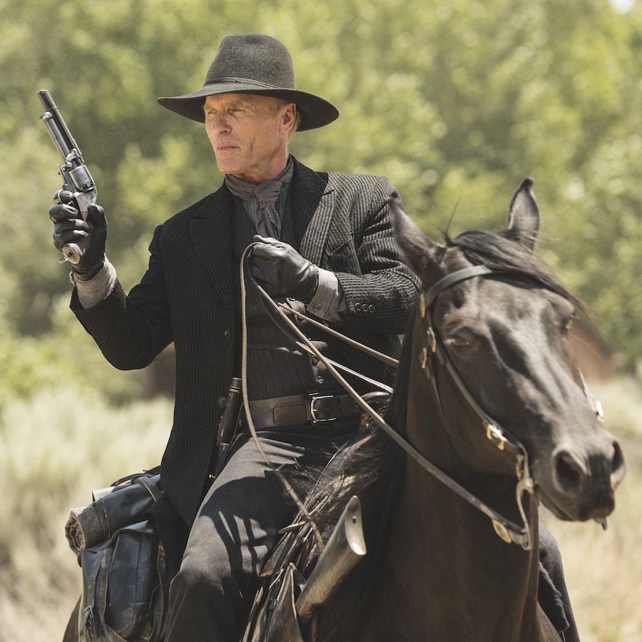 'Westworld' TV Series Season 1 - 2016 (Photo by Bad Robot/Kobal/REX/Shutterstock (7749141bl)